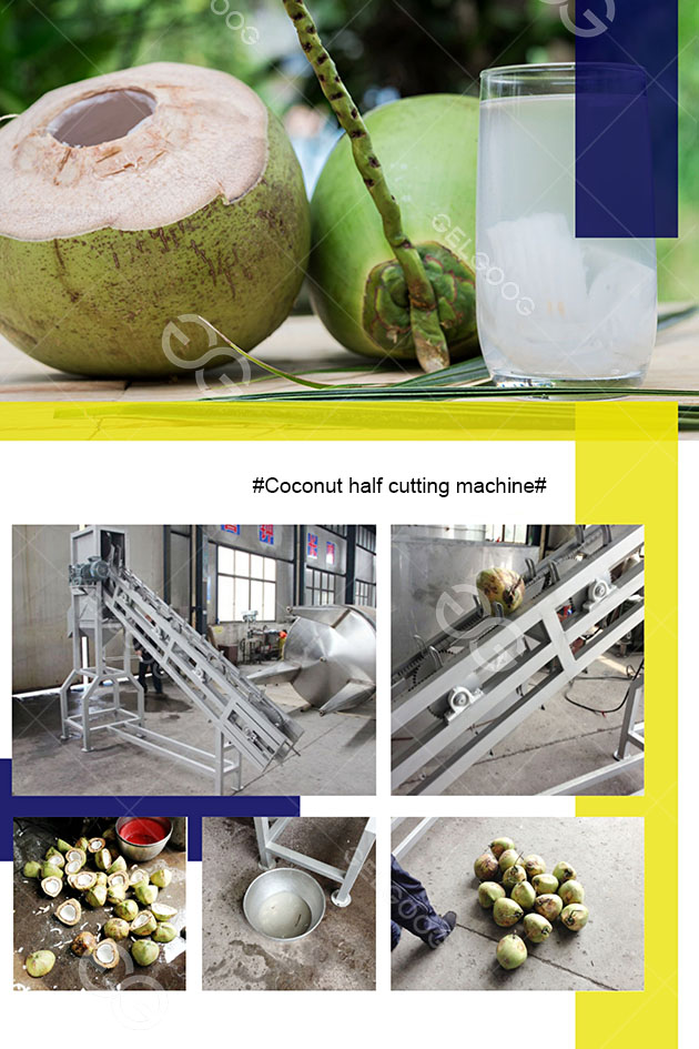 coconut Cut Half Machine