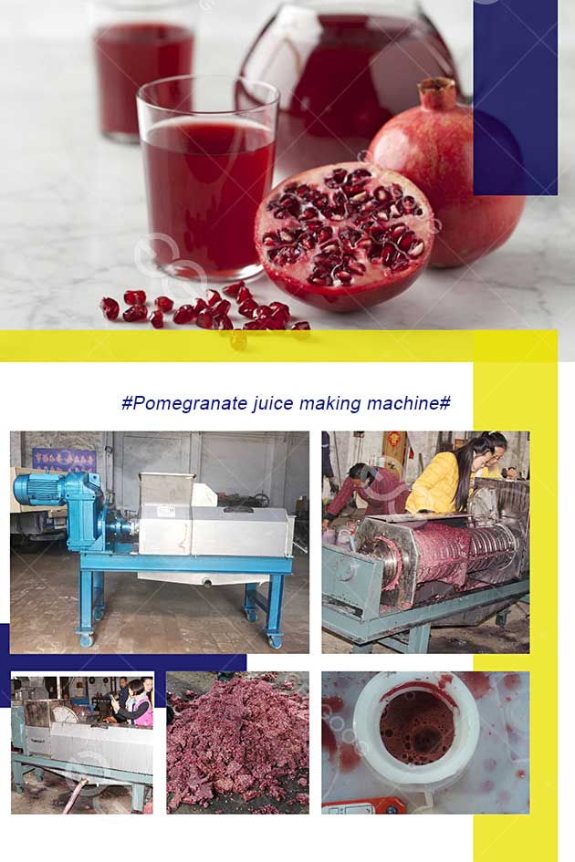 Professional Pomegranate Juice Machine Squeezing Pomegranate Juice