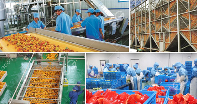 Citrus Juice Processing Line