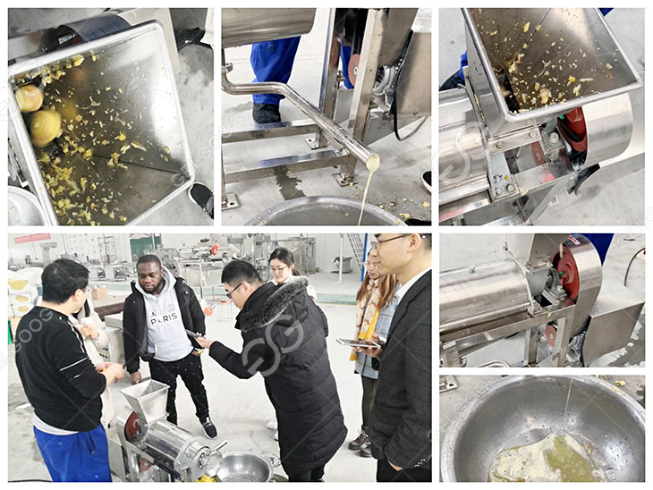 Ginger Carrot Vegetable and Fruit Juice Presser Making Extractor Machine -  China Juice Extractor, Juice Extractor Machine