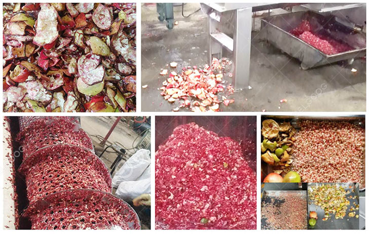 pomegrante peeling machine