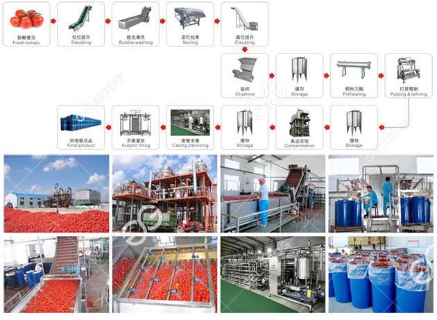 tomato sauce production line