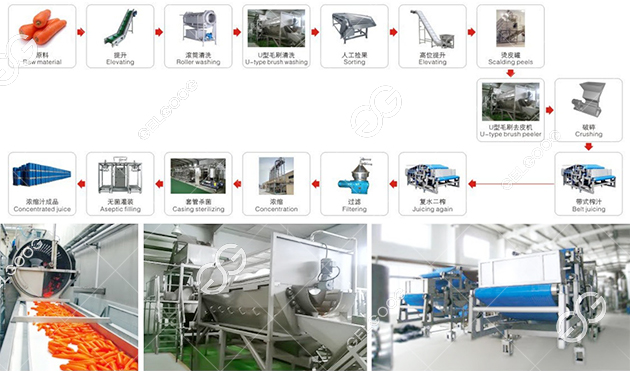 lini produksi jus wortel