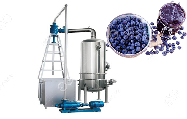 Blueberry paste concentrator
