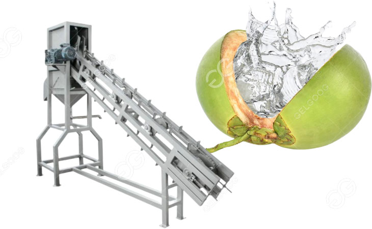 coconut half cutting machine