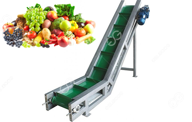 industrial conveyor belt fruit washer