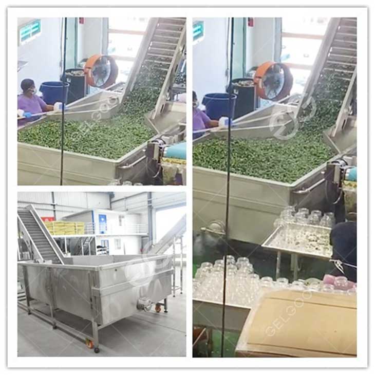 Cucumber Coring & Segmenting Machine