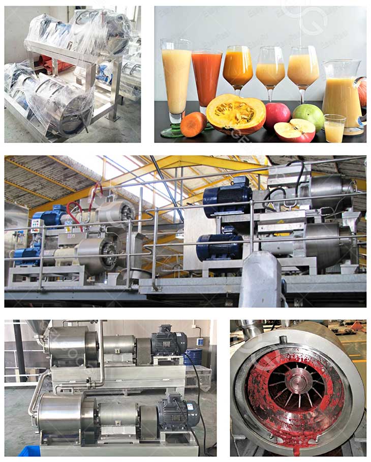 fruit pulp extraction machine details in our factory