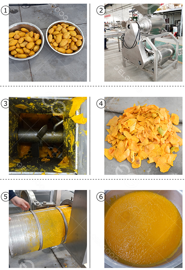 fruit pulp making machine