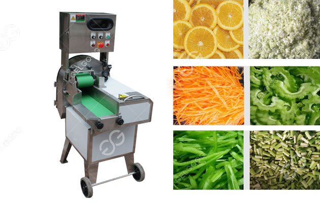 Stainless Steel Multi-Function Vegetable Cutting Machine