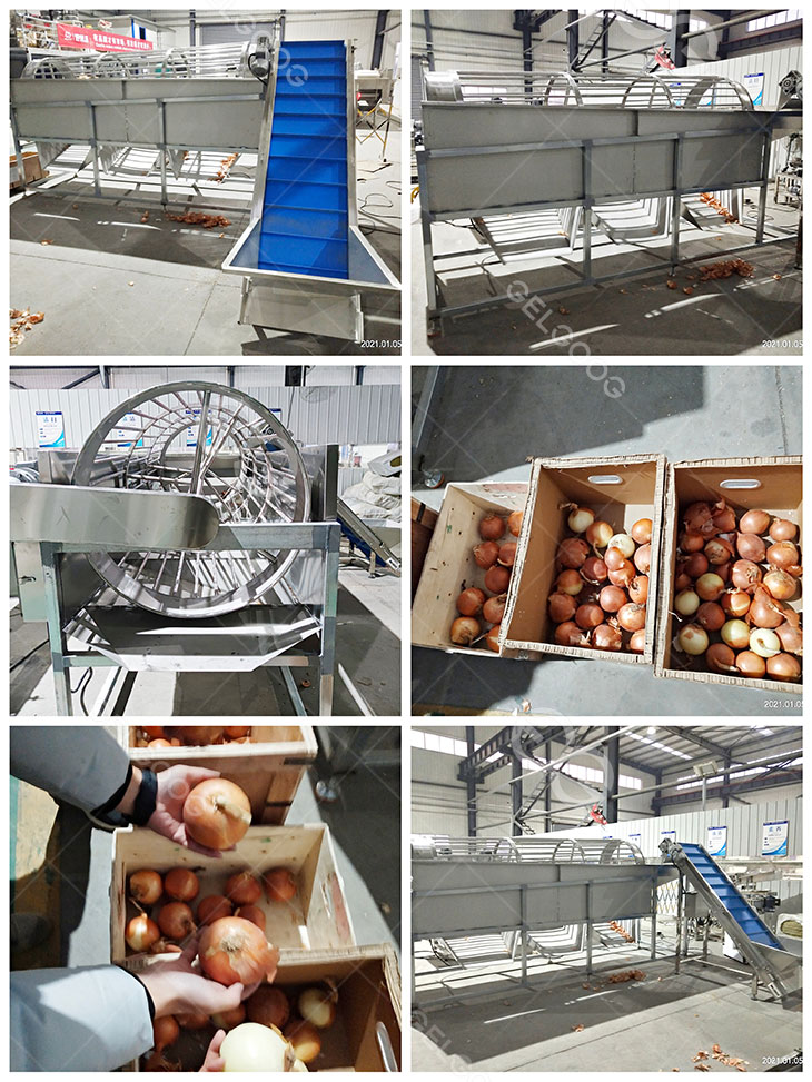 onion sorting machine details in our factory