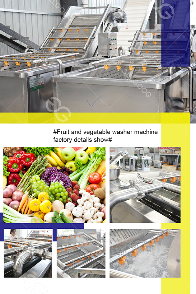 fruit and vegetable washer machine details show