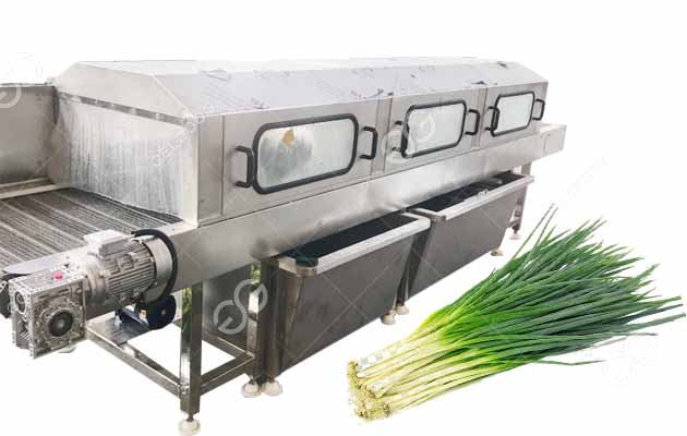 green onion washing machine