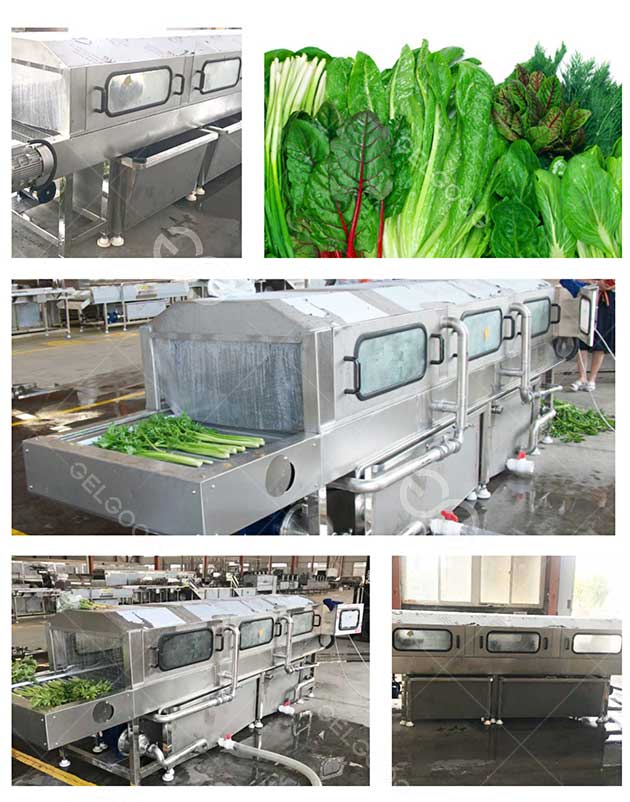 long-leafy-green-vegetable-washing-machine