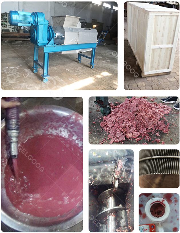 500kg/h Industrial Pomegranate Juice Extraction Machine