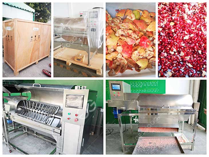 pomegranate peeling machine details in our factory