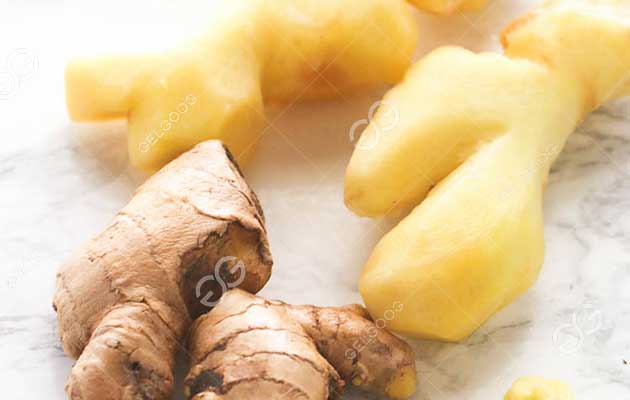 Washed-and-peeled-ginger