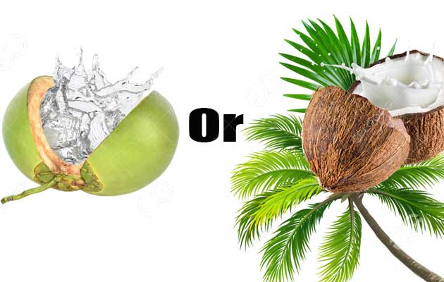 coconut-juice-or-milk