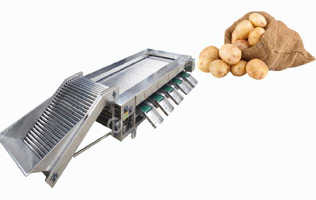 potato-sorting-machine