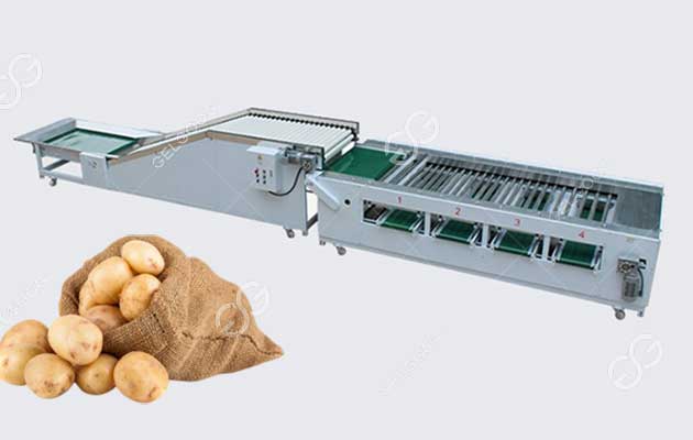 potatoes-sorting-machine
