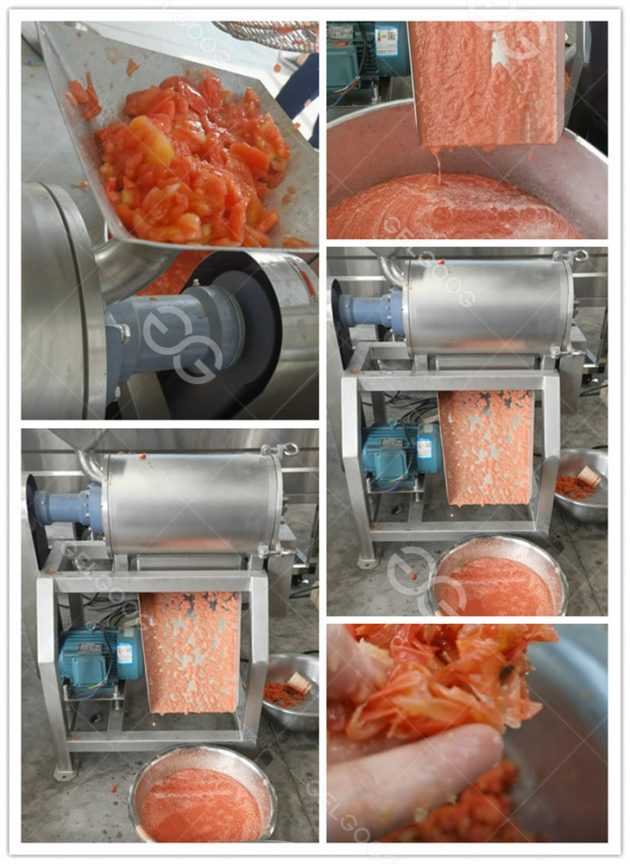 Small Scale Tomato Processing Plant With 250 kg/h Yield