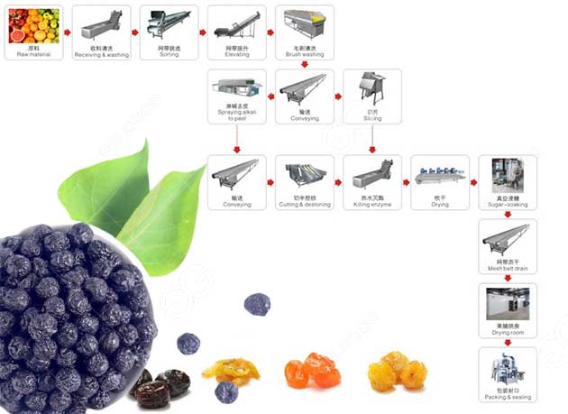 Lini Produksi Manisan Blueberry