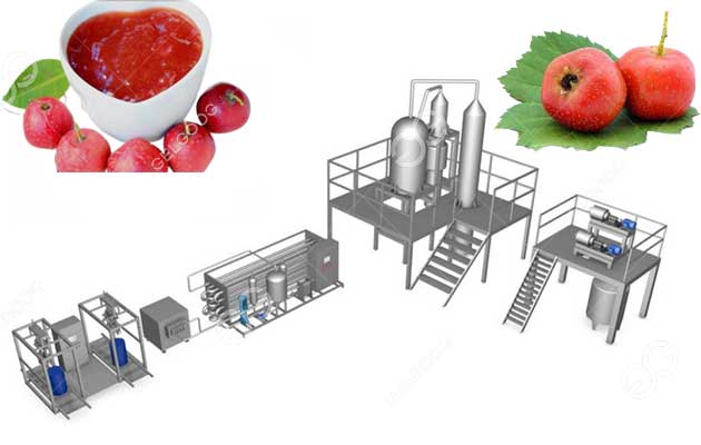 Hawthorn-Saus-Jalur-Produksi