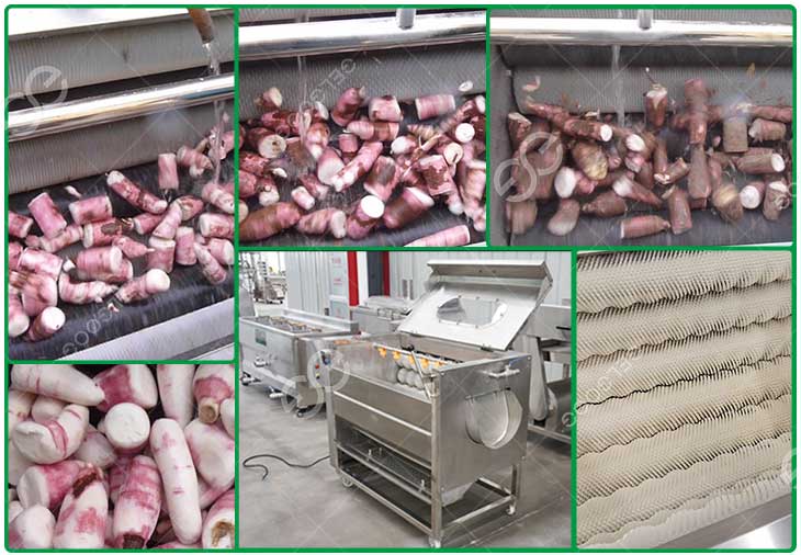 cassava-processing-details