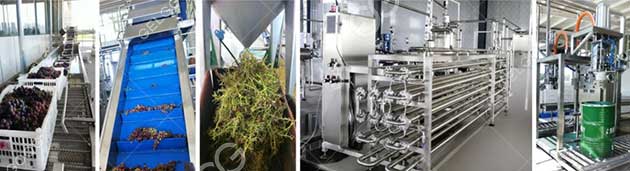 grape-processing-equipment