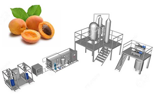 jam-processing-line