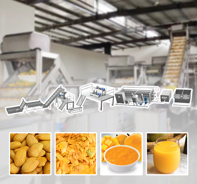 Fruit and Vegetable Juice Processing Line Solution