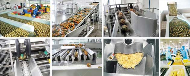 pineapple-juice-production-line-details