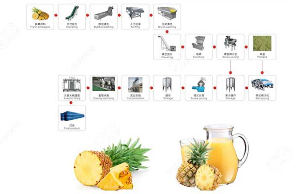 lini produksi jus nanas