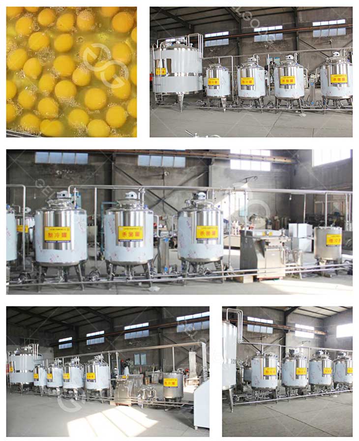 Egg Liquid Pasteurization Production Line