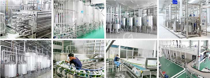 Coconut processing equipment factory details