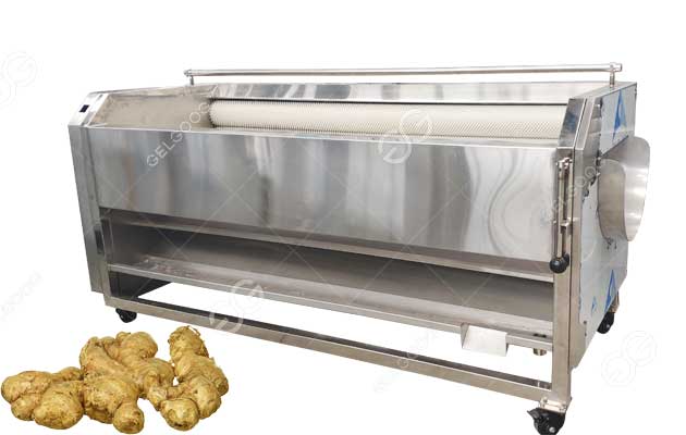 Industrial Ginger Washing and Peeling Machine - Ginger Peeler Machine