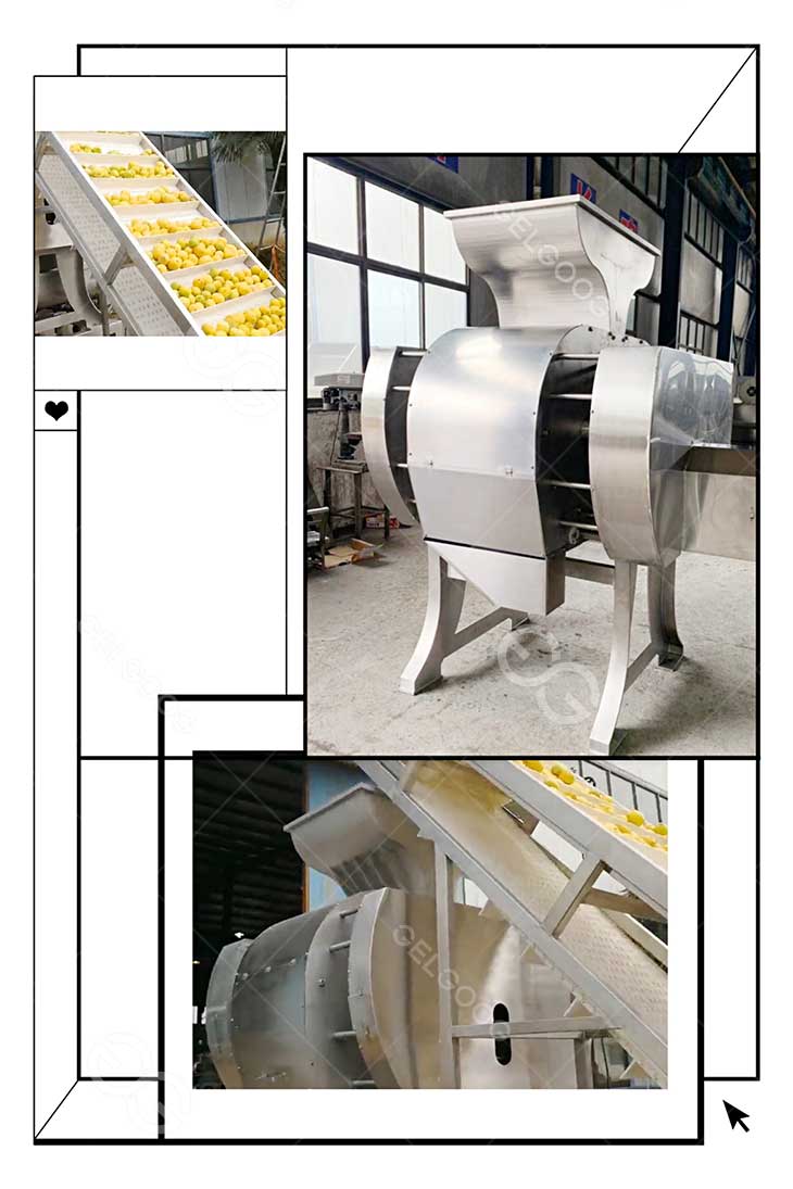 juice-extractor