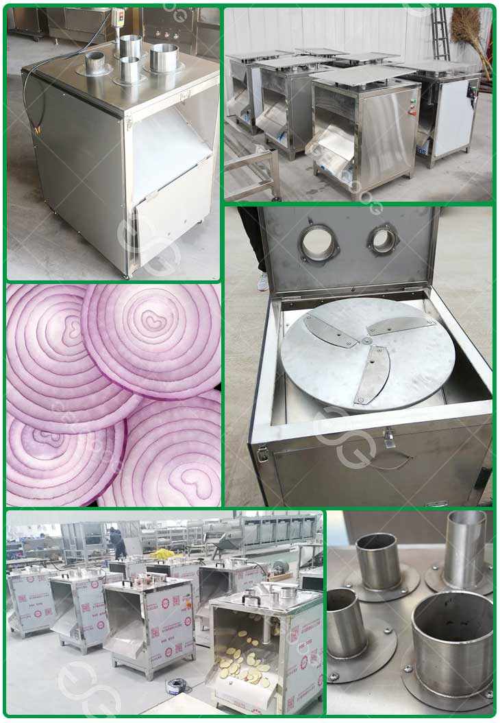 Onion Root Cutting Machine for Vegetable Root Cutting