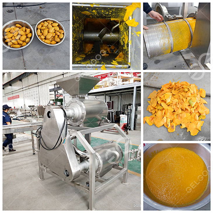 mango pulp machine details in our factory