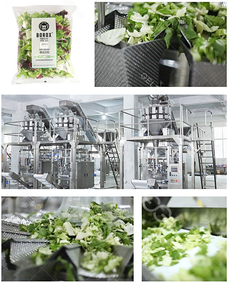 salad packaging machine