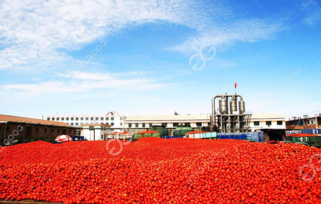 tomato paste production line