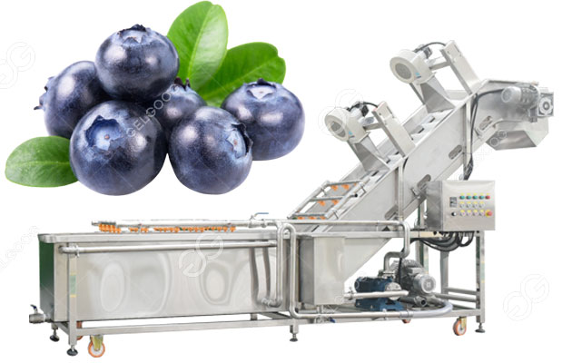 blueberry washing machine