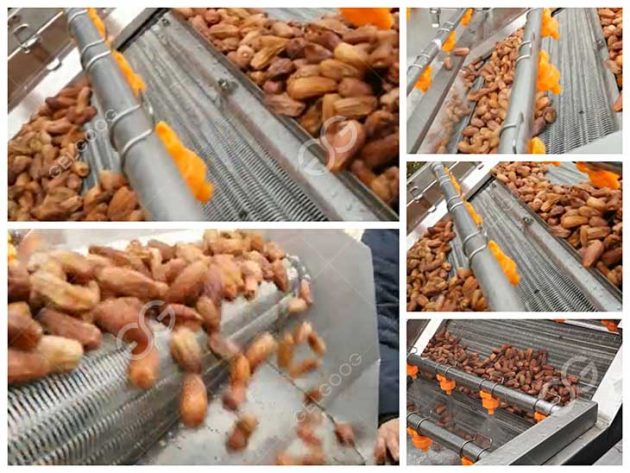 Dates Fruits Washing Drying Sorting Packing Processing Line Turnkey