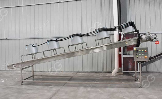 Dates Fruits Washing Drying Sorting Packing Processing Line Turnkey