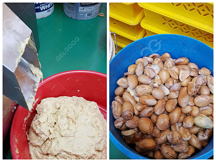 Rincian mesin ekstraksi pure durian