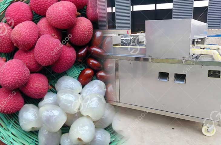 lychee core removing machine