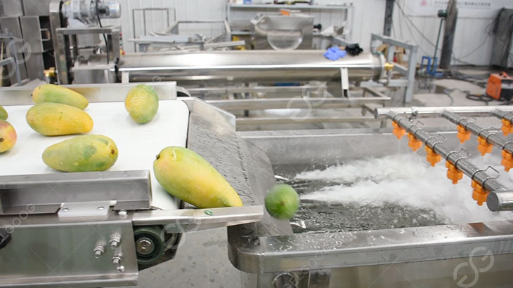 mango washing details in our factory