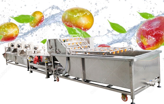 industrial conveyor belt fruit washer