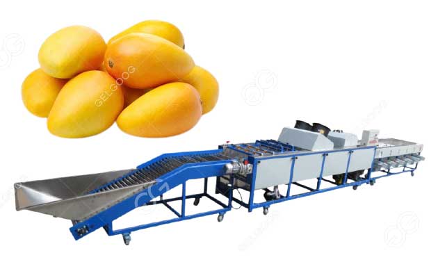 mango washing waxing grading machine