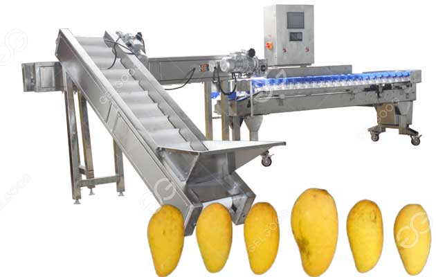 mango weight sorting machine